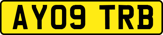 AY09TRB