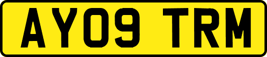 AY09TRM