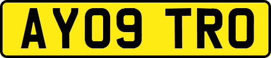 AY09TRO