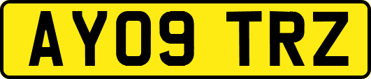 AY09TRZ