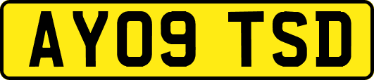 AY09TSD