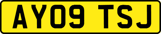 AY09TSJ