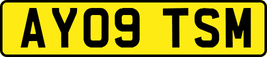 AY09TSM
