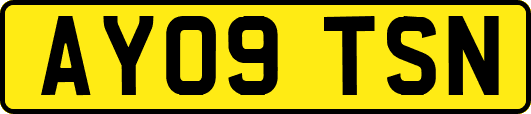 AY09TSN