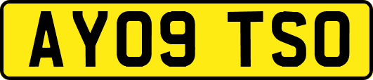 AY09TSO
