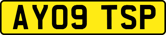 AY09TSP