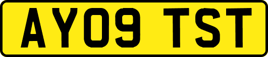 AY09TST