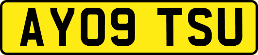 AY09TSU
