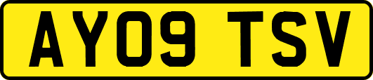 AY09TSV