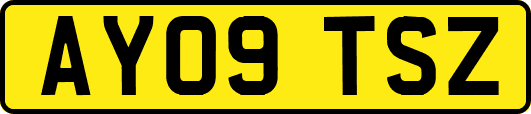 AY09TSZ
