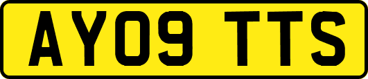 AY09TTS