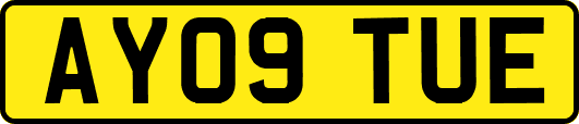 AY09TUE