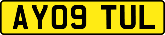 AY09TUL