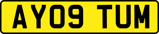 AY09TUM