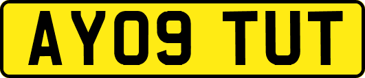 AY09TUT