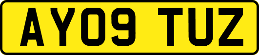 AY09TUZ