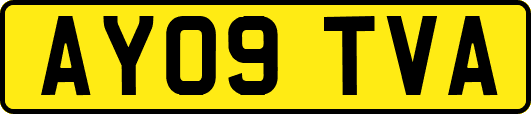 AY09TVA