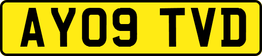 AY09TVD