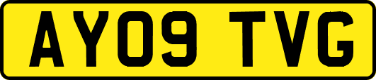 AY09TVG