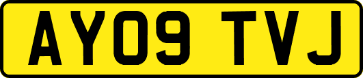 AY09TVJ