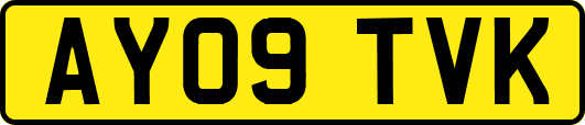 AY09TVK