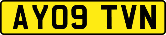 AY09TVN