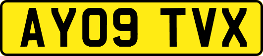 AY09TVX