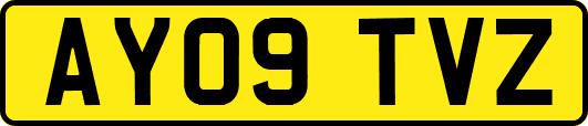 AY09TVZ