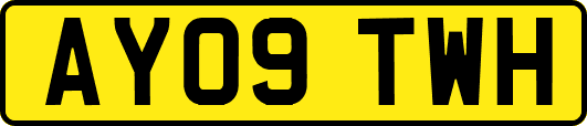 AY09TWH