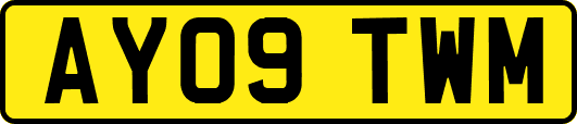 AY09TWM