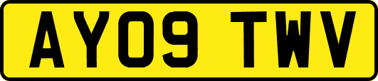 AY09TWV