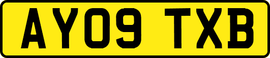 AY09TXB