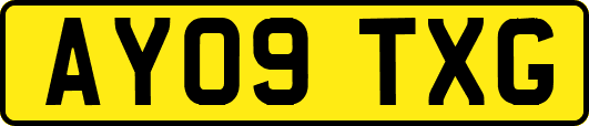 AY09TXG