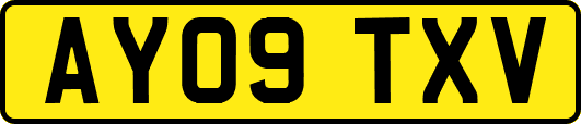 AY09TXV