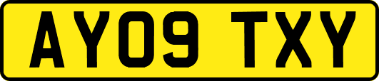 AY09TXY