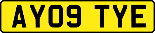 AY09TYE