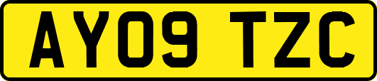 AY09TZC