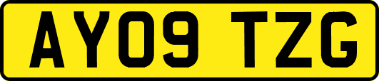 AY09TZG