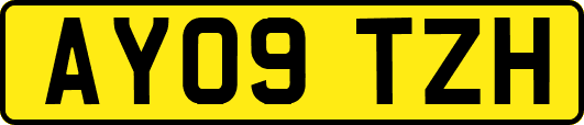 AY09TZH