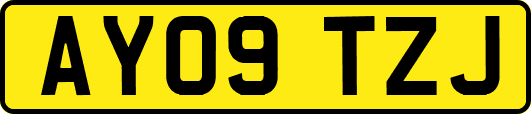 AY09TZJ