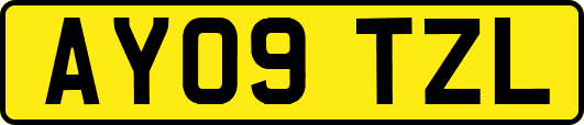 AY09TZL
