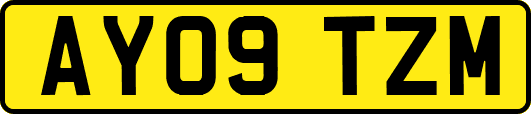 AY09TZM