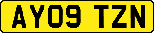 AY09TZN