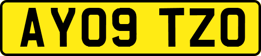 AY09TZO