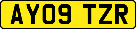 AY09TZR
