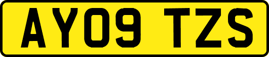 AY09TZS