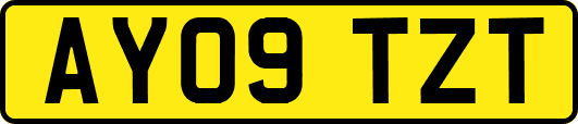 AY09TZT