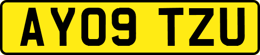 AY09TZU