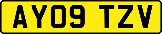 AY09TZV