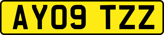 AY09TZZ